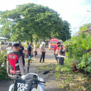 Polres Loteng Evakuasi Pohon Tumbang di Praya. ‎ ‎