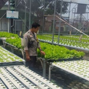 Bhabinkamtibmas Labuapi Ajak Warga Tanam di Pekarangan