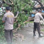 Polres Bima Kota Respon Cepat Bersihkan Pohon Tumbang di Seputar Gudang Bulog Jatiwangi dan Kelurahan Sarae