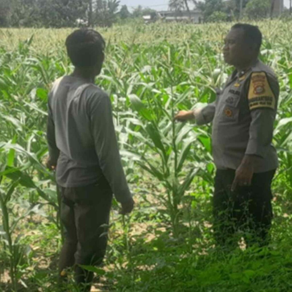 Polisi di Lombok Barat Motivasi Petani Optimalkan Lahan