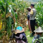 Bhabinkamtibmas Lombok Barat Motivasi Petani di Sawah