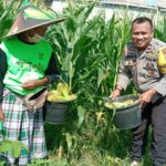 Polisi Dorong Swasembada Pangan di Bagik Polak Barat
