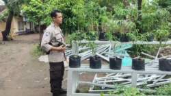 Bhabinkamtibmas Labuapi Edukasi Warga Kelola Pekarangan Bergizi