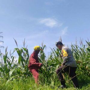 Bhabinkamtibmas Kuranji Dalang Motivasi Petani Lokal