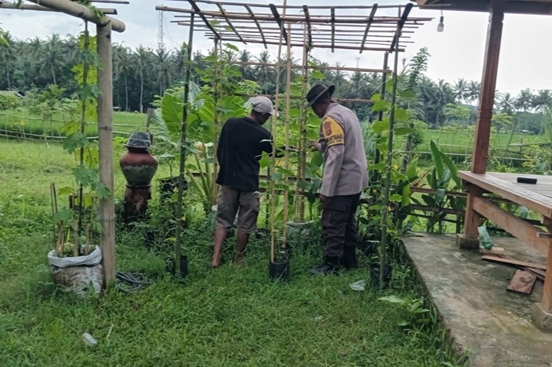 Bhabinkamtibmas Edukasi Warga Manfaatkan Lahan Produktif