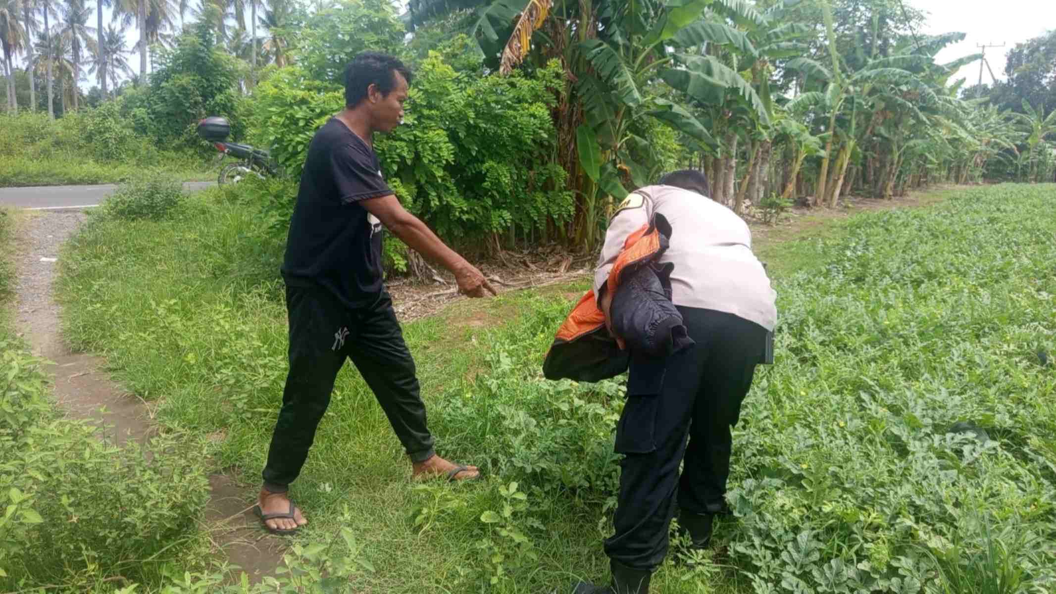 Polsek Sekotong Kawal Program Ketahanan Pangan di Lombok Barat