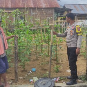 Bhabinkamtibmas Desa Manemeng Laksanakan Pendampingan Pekarangan Pangan Bergizi