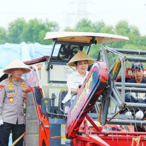 Kapolri Tegaskan Kontribusi Polri dalam Swasembada Pangan, Produksi Jagung Capai 3,5 Juta Ton di 2025