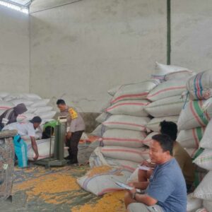 Polsek Gerung Pantau Stok Jagung di Desa Beleka Lombok Barat