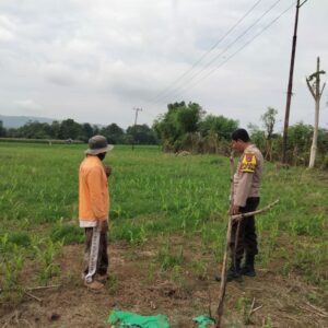 Polsek Hu’u Pantau Lahan Jagung Warga di Desa Cempi Jaya, Dukung Ketahanan Pangan Nasional