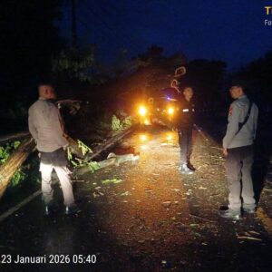 Pastikan Jalur Lintas Tetap Aman, Polsek Labuhan Badas Amankan TKP Pohon Tumbang di Karang Dima