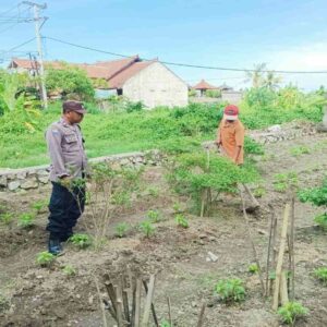 Polri Dampingi Warga Dusun Bantir Budidaya Palawija di Pekarangan