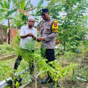 Polri Dorong Ketahanan Pangan di Desa Bajur Lombok Barat